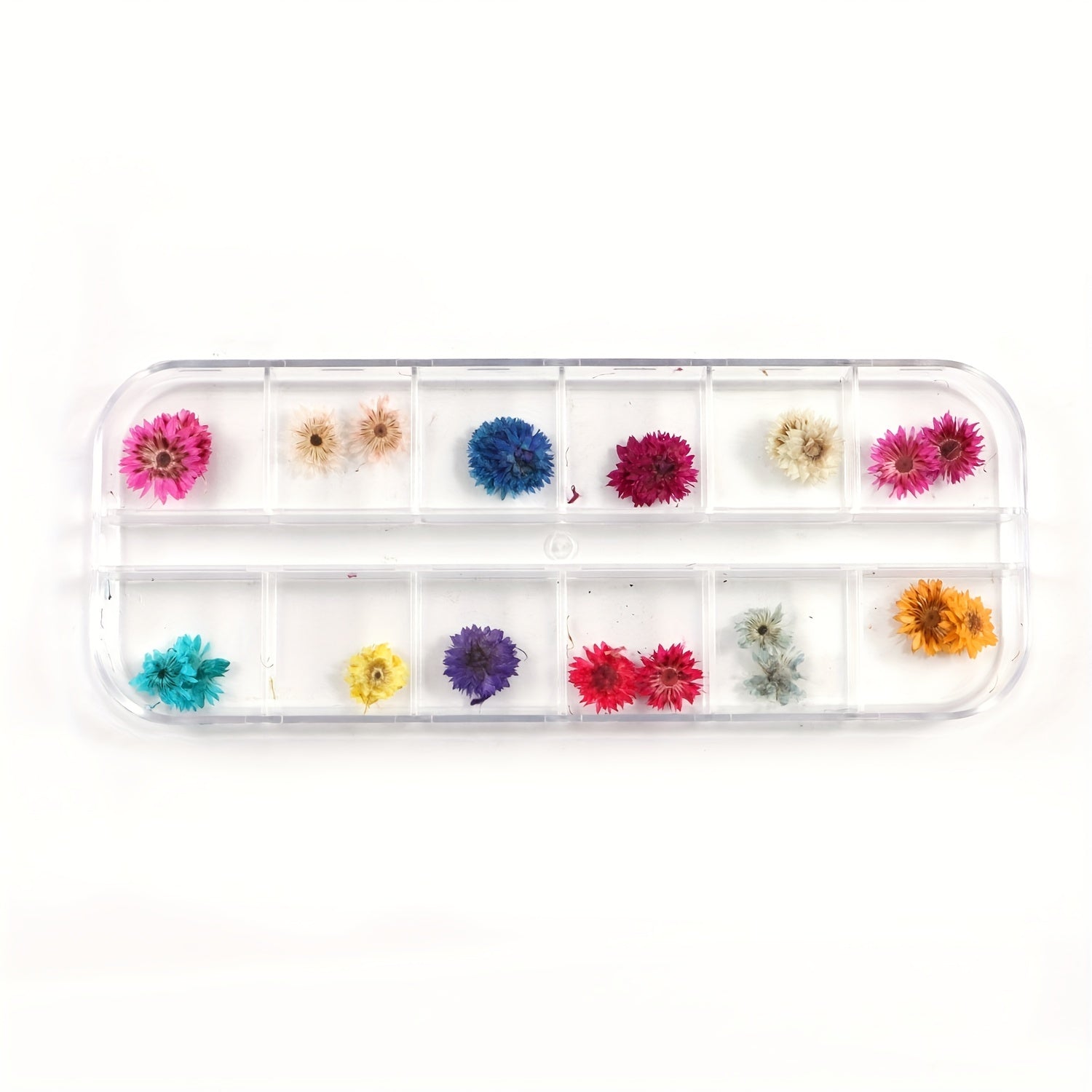 Natural Dried Flower Daisy Pressed Dried Flower With Leaf Resin Mold Fillings