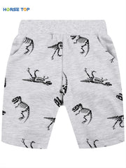 Boys Dino Pocket Shorts for Summer