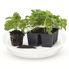 6pcs 15-24cm Plant Saucer Plastic Tray Sturdy Flower Pot Container