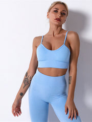 Women's Seamless Fitness Set: Sports Bra & Leggings