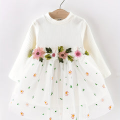 Baby Girl Ribbed Long Sleeve Floral Embroidered Mesh Dress