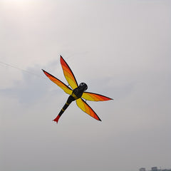 3D Dragonfly Kite D handle Flying Line Ripstop Polyester Strong Fiberglass