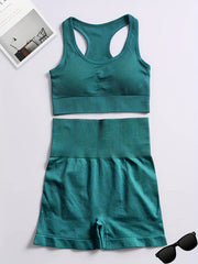 2 Pcs Yoga Set Sports Bra & Shorts Seamless Fitness Activewear