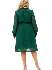 Polka Dot Mesh Sleeve Midi Dress
