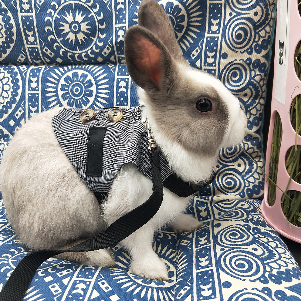 Rabbit Harness And Leash Set Bunny Vest With Button Decor Small Animal