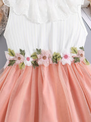 Girls Sleeveless Mesh Dress With Lace Neckline & Flowers