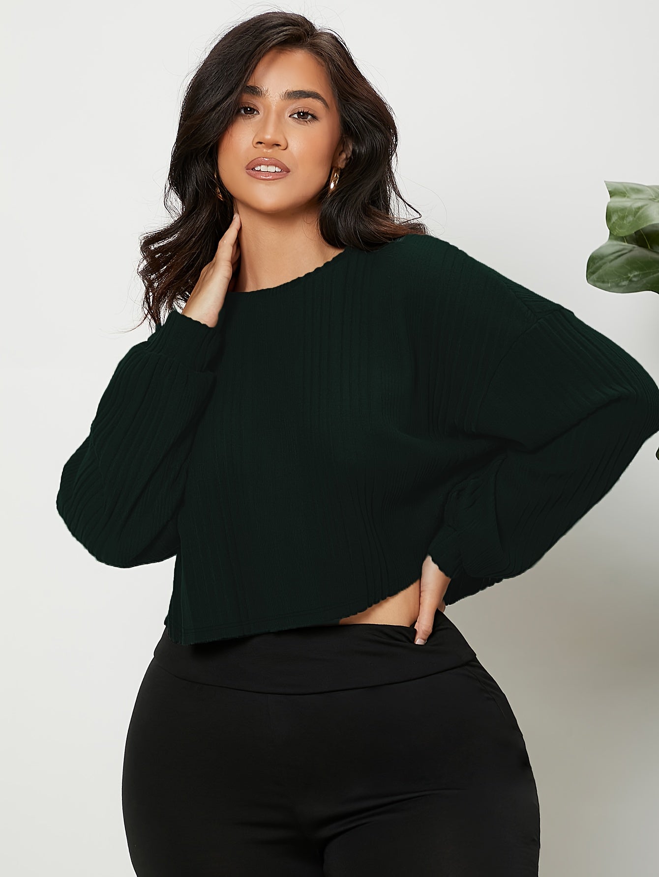 Ribbed Lantern Sleeve Crop Knit Top