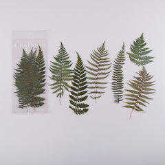 6pcs Flower Stickers Pet Decorative Scrapbook Decor