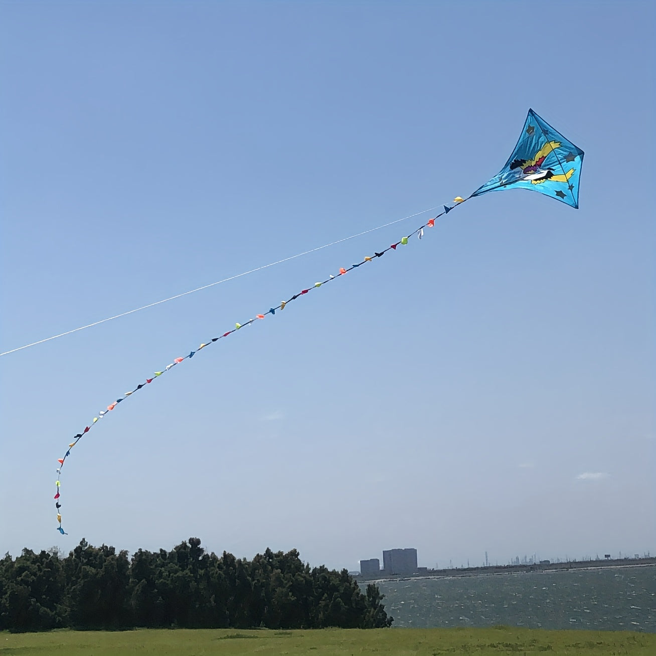 Sky Horse Kite 30m Flying Line D handle Beach Park Yard Outdoor Entertainment