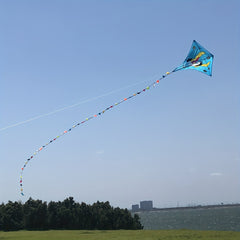 Sky Horse Kite 30m Flying Line D handle Beach Park Yard Outdoor Entertainment