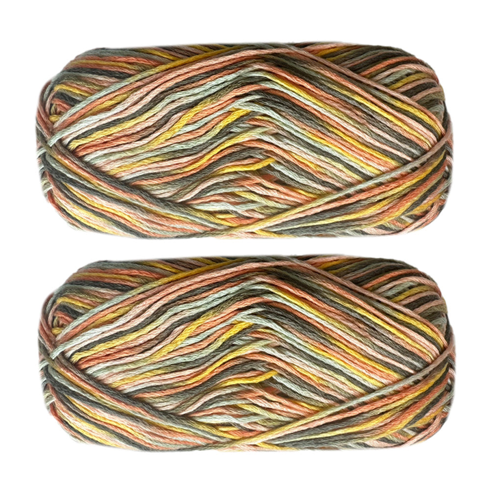 2pcs Colorful Section Dyed Yarn 200g 7oz for Knitting & Crafts DIY