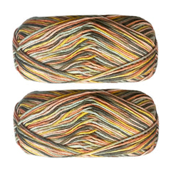 2pcs Colorful Section Dyed Yarn 200g 7oz for Knitting & Crafts DIY