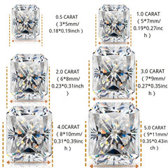 img_5686450
