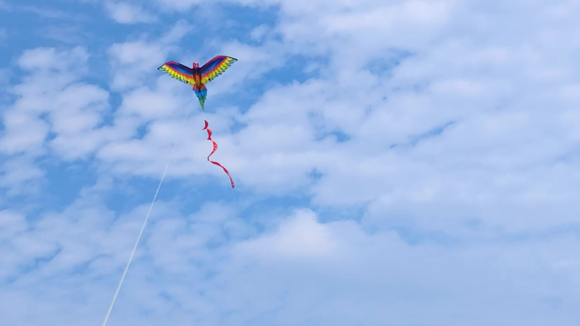 3D Parrot Kite Outdoor Activity Flying Toy
