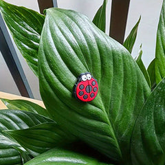 6 Pack Plant Magnet Eyes Potted Plant Safe Charms Indoor Plant Accessories