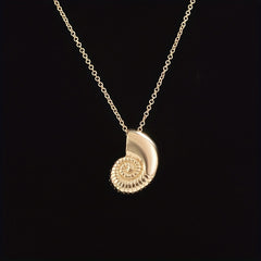 Seaside Summer Conch Necklace Clavicle Chain Snail Shell Pendant