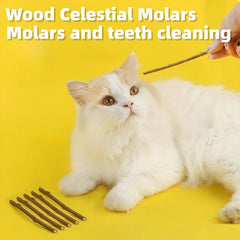 10pcs Catnip Silvervine Sticks Chew Toy for Cats Teeth Cleaning Anxiety Relief