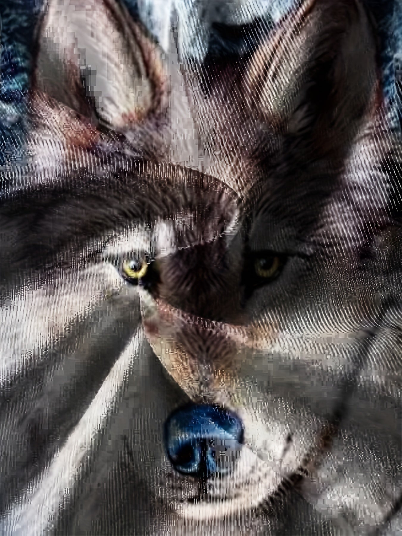 Kids Wolf Graphic Tees Stylish Casual T-shirt