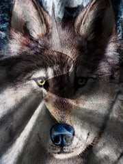 Kids Wolf Graphic Tees Stylish Casual T-shirt