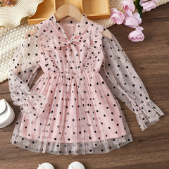 Mesh Dress & Polka Dot Princess Dress