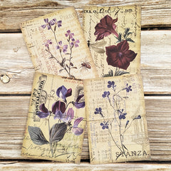8pcs Vintage Botanical Flower Nature Scrapbook Papers DIY Crafts