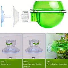 Reptile Suction Cup Feeder Bowl for Crickets Geckos