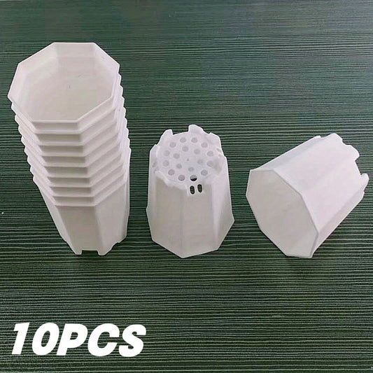 10pcs Octagonal Planter for Succulents & Cacti Growth