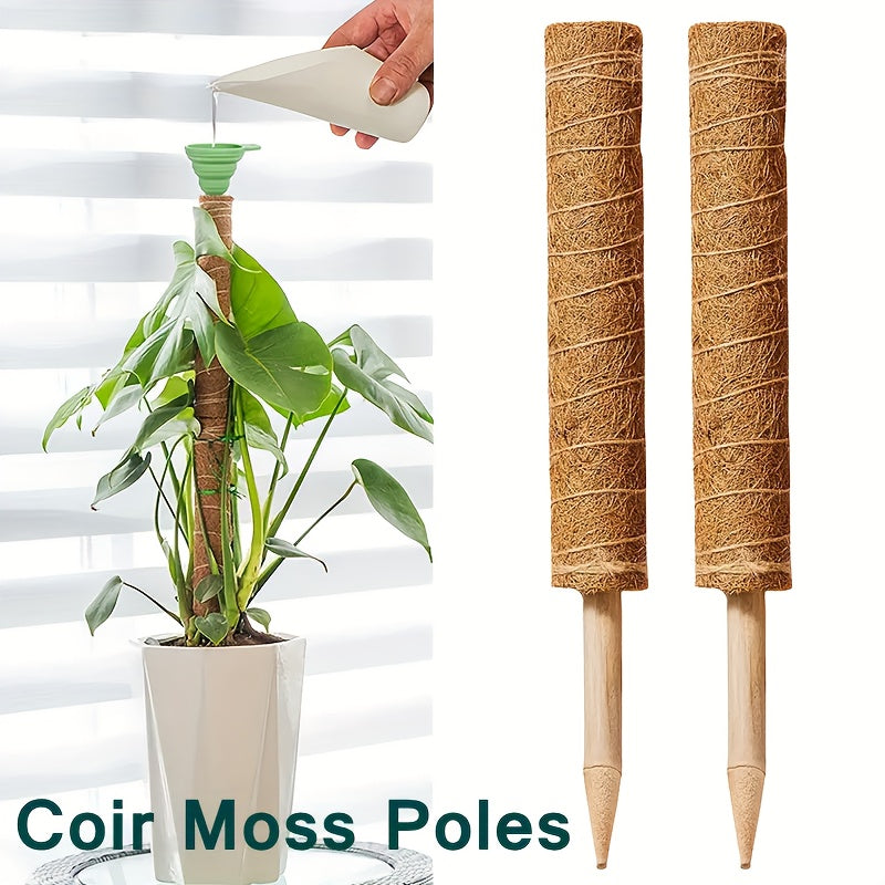 1pc Green Carrot Plant Climbing Pole Palm Rattan St