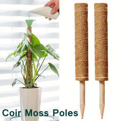 1pc Green Carrot Plant Climbing Pole Palm Rattan St