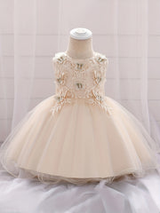 Girls Butterfly Embroidery Princess Dress Baby Birthday Party Dress