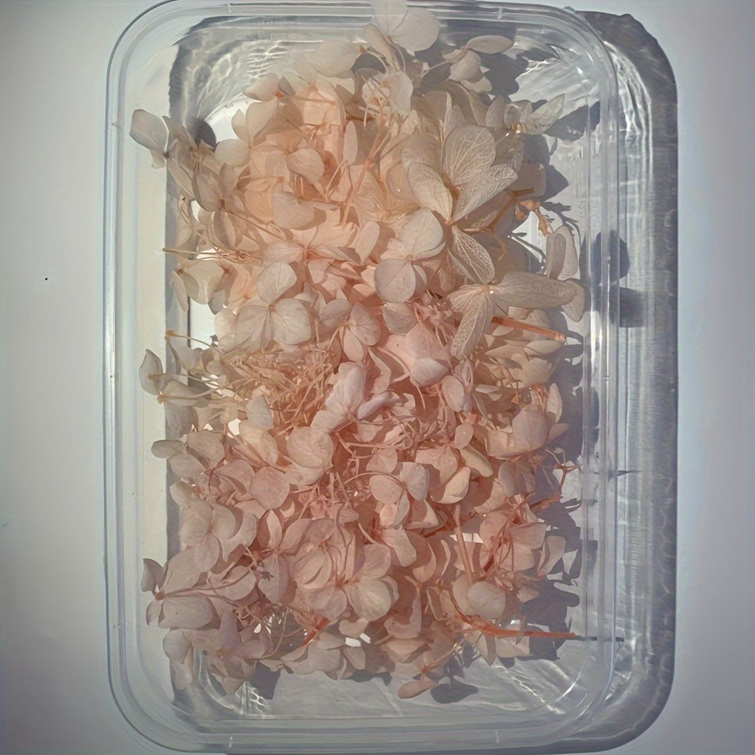 Dried Flowers Kit for Crafts and Decorations