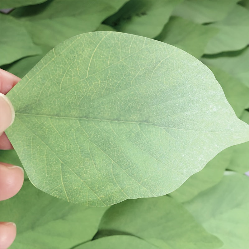 Funny Leaf Sticky Note Pads 50 Sheets Pad