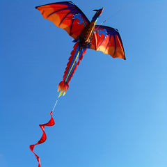 3D Dinosaur Kite Pterosaur Animal Kite Outdoor Park