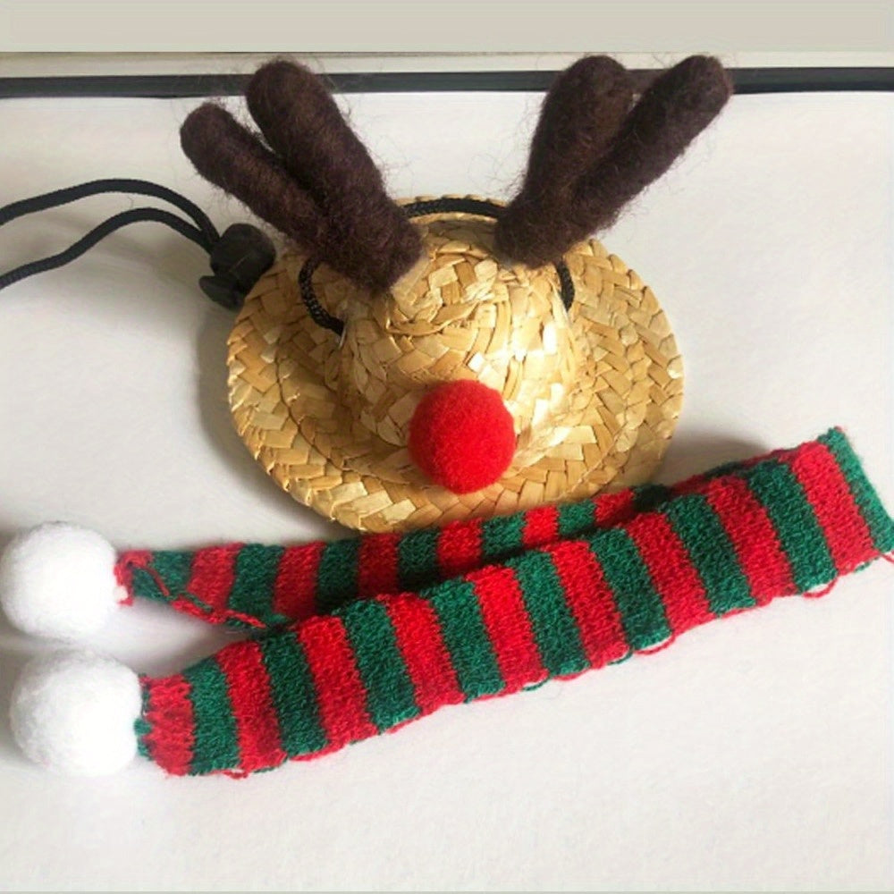 Festive Bearded Dragon Santa Hat with Scarf Christmas Costume