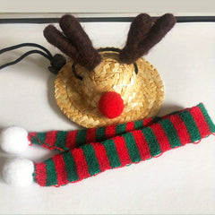 Festive Bearded Dragon Santa Hat with Scarf Christmas Costume