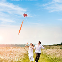 Park Lawn Fox Kite Outdoor Sports Game Kite