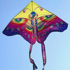 Multicolor Butterfly Kite with Long Tails and Handle - Outdoor Entertainment