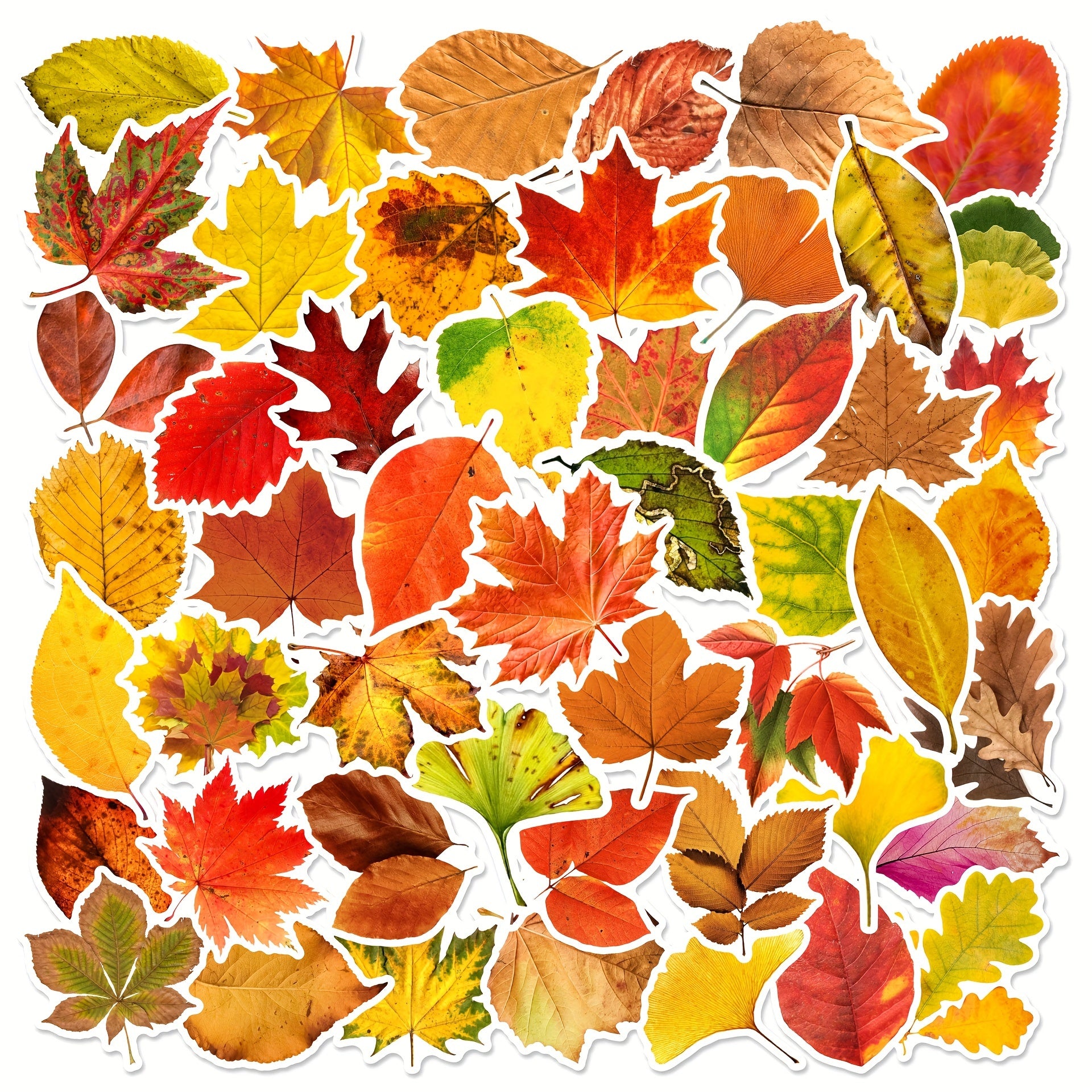 60pcs Leaf Graffiti Stickers DIY Pack for Guitar Skateboard Phone