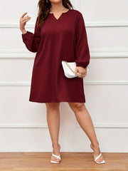 Solid Lantern Sleeve Notched Neck Dress