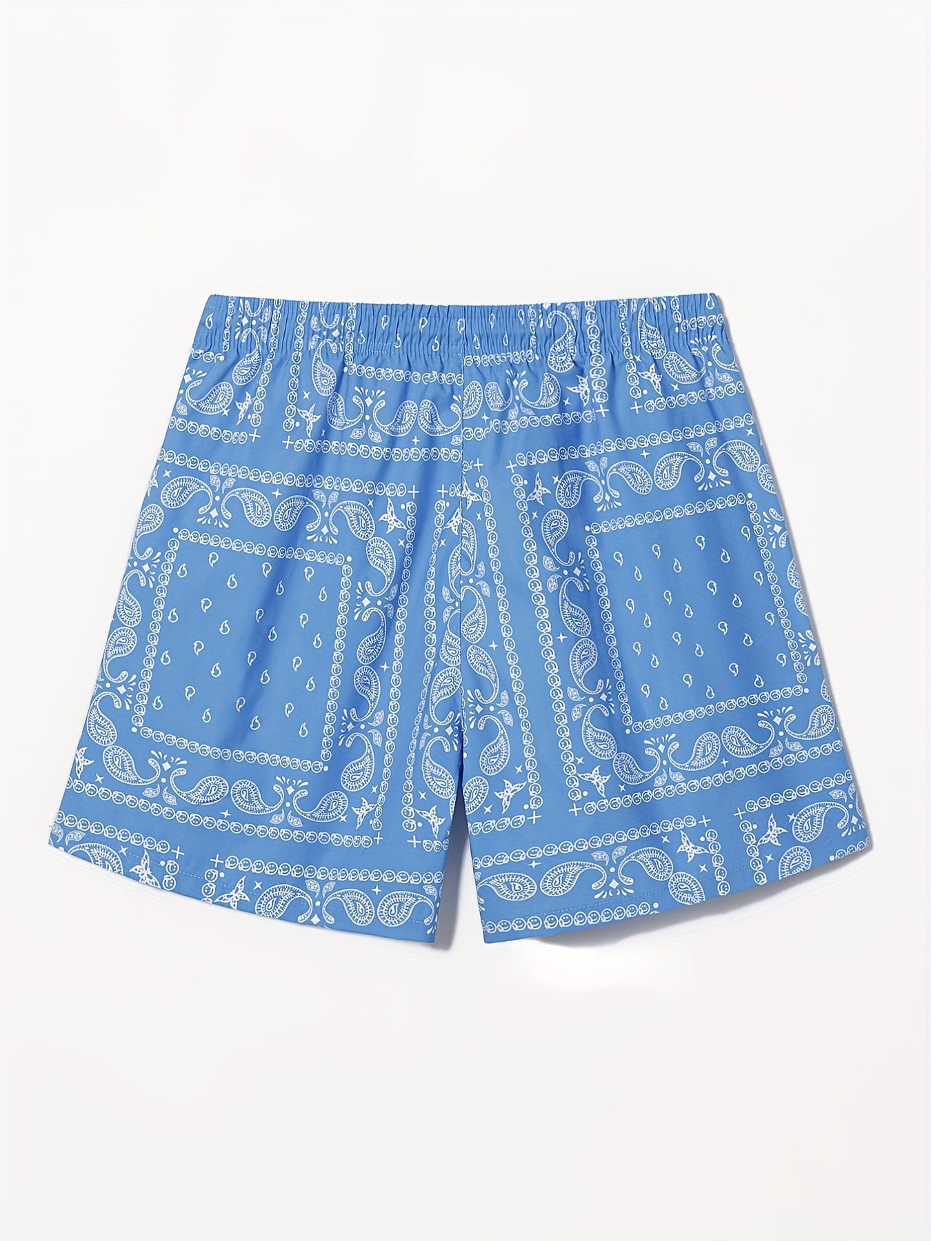 Paisley Pattern Beach Shorts Drawstring Waist Men's Casual Summer Resort