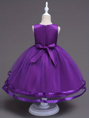 Girls Sleeveless Mesh Princess Dress With Flower Decor