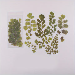 6-pc Special Shaped Flower & Plant Stickers Set