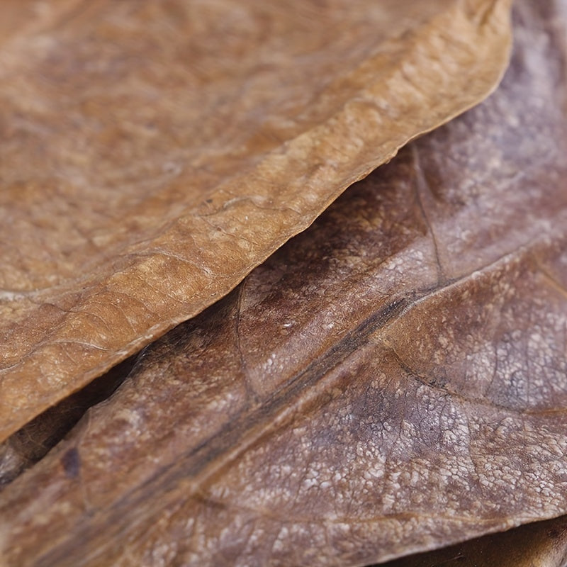 20Pcs Catappa Leaves Almond Tree Aquarium Clean Tool Terminalia Leaf