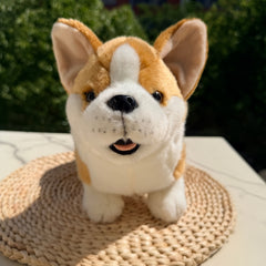img_5426382