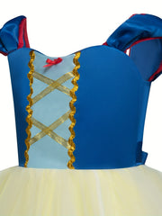 Girl Mesh Puffy Princess Dress Cosplay Costume
