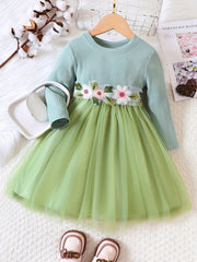 Girls Flowers Embroidered Belt Mesh Tutu Dress