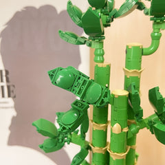 Fortune Lucky Bamboo Jiejie High Rise Creative Potted Flower Bouquet