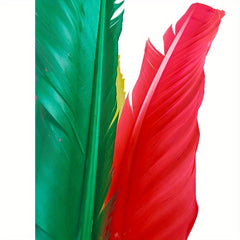 40pcs Fitness Resistant Shuttlecock Boxed Large Flower Shuttlecock