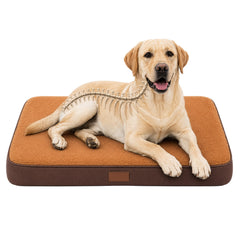 img_7389669