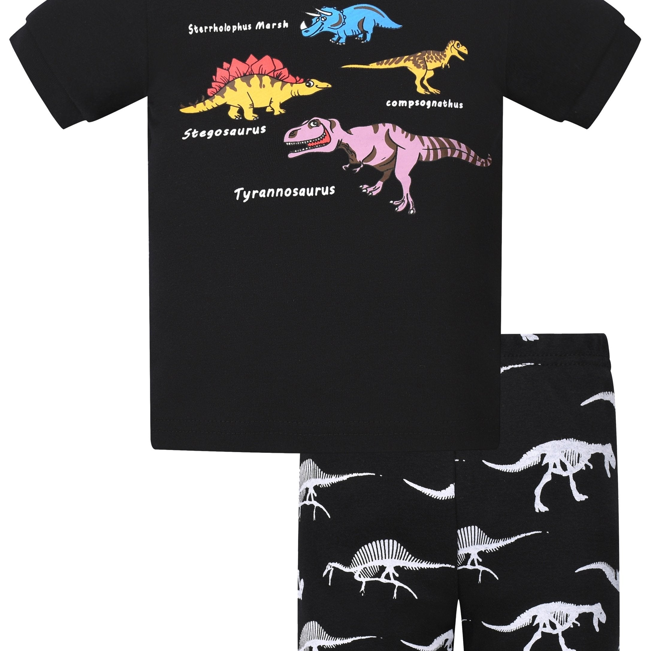 Toddler Girls Dino Pajama Set Crew Neck T Shirt & Shorts Sleepwear